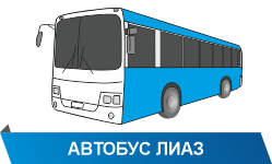 Реклама на двух бортах автобусов БВ